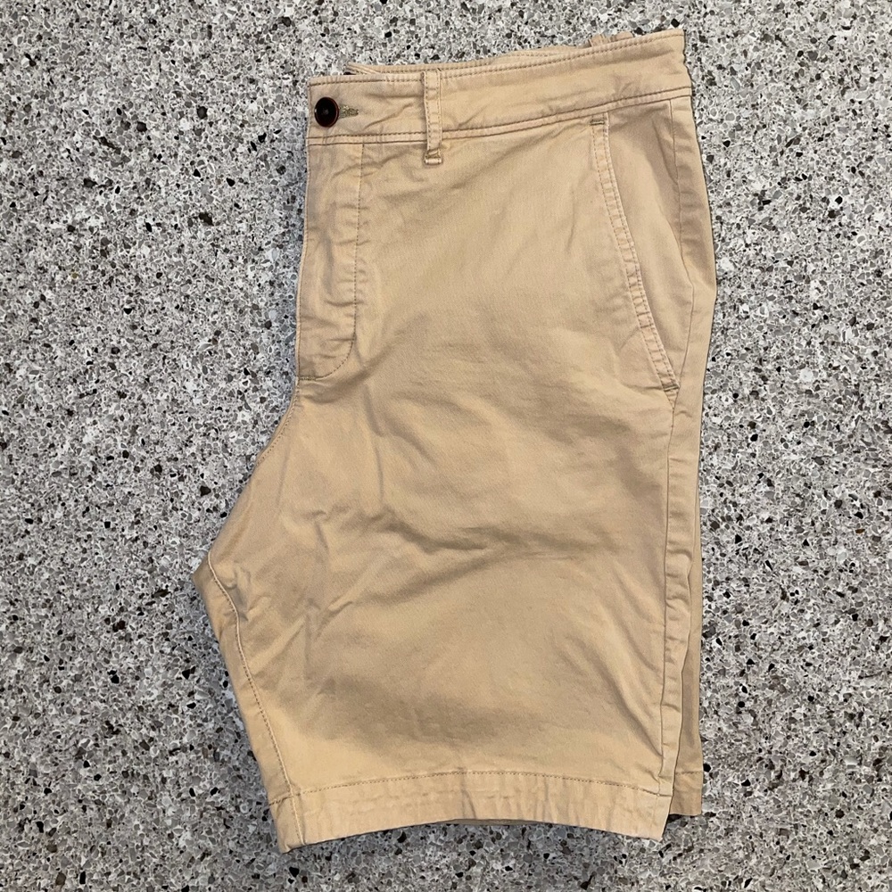 Stretch Chino Shorts (9in)